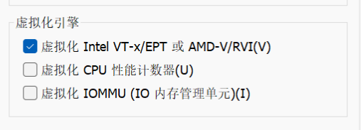 虚拟化选项